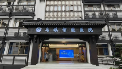 醫(yī)療AI科技如何助力公立醫(yī)院改革與高質(zhì)量發(fā)展？